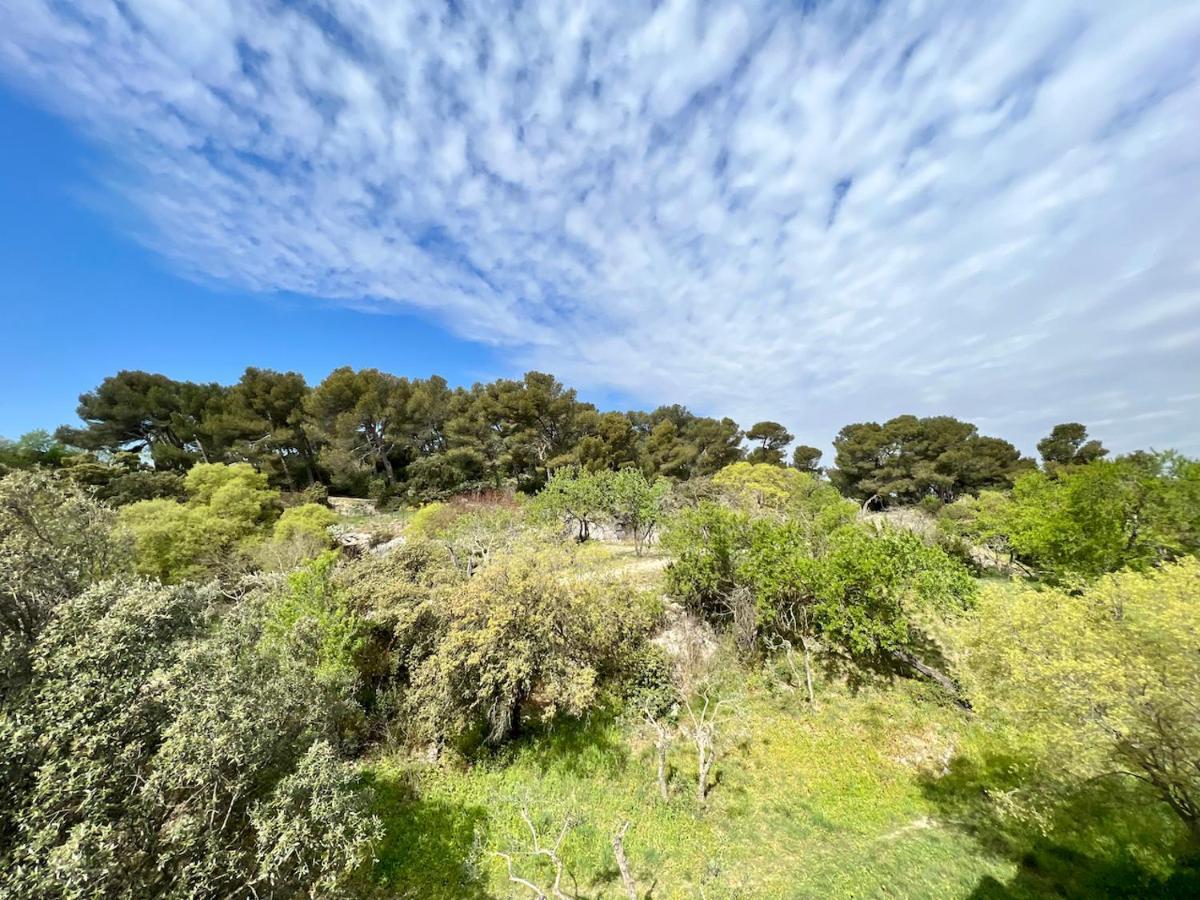 Tutto Mio Apartman Villeneuve-lès-Avignon Kültér fotó